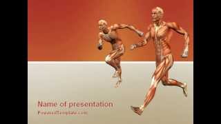 Muscular System PowerPoint Template by PoweredTemplate.com