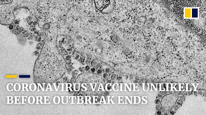 Vaccine for new coronavirus unlikely to be ready before outbreak is over, says Sars expert - DayDayNews