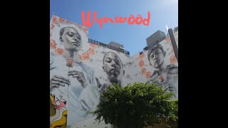Wynwood District and Art Fusion Galleries