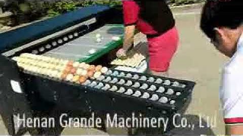 Egg grading machine, egg  classifier machine