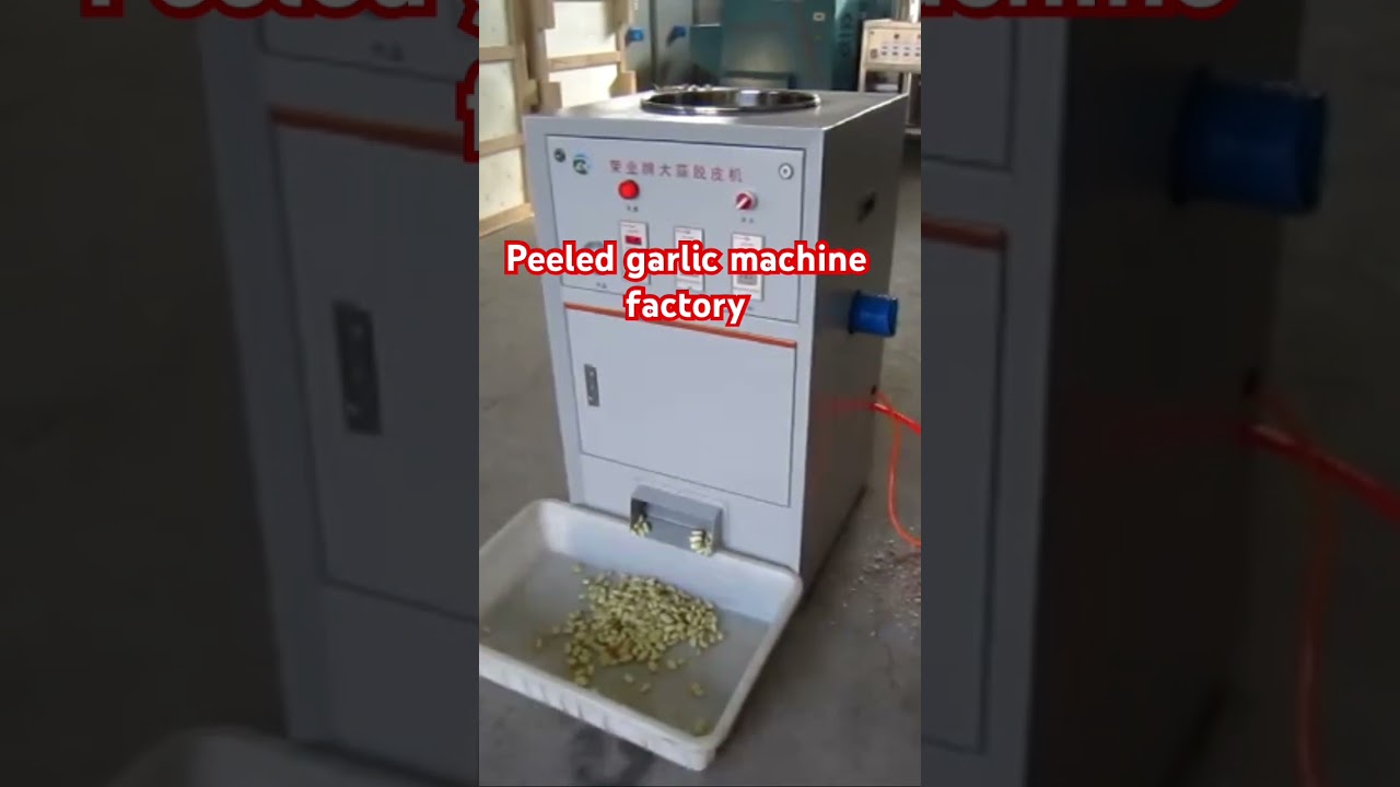 Peeled garlic supplier