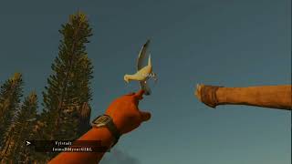 Celebrity Stranded Deep Multiplayer Glitch Net Worth