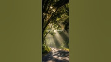 #القارئ_ياسر_الدوسري #سورة_النمل أية٨٦#انشر_تؤجر #قران_كريم #المصحف