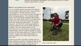 Help rid Florida of pythons, win prizes