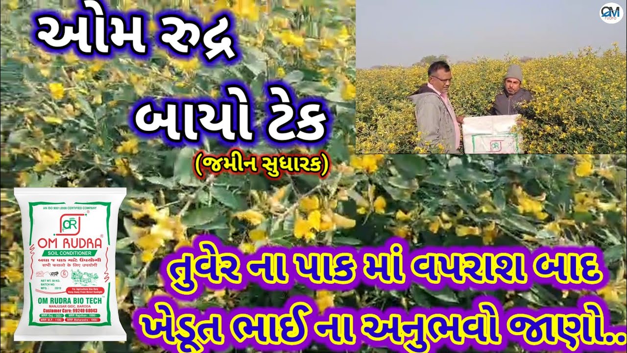 ગામ અજાબ તાલુકો કેશોદ જીલ્લો જૂનાગઢ  તુવેર નાં પાક માં om Rudra નું રીઝલ્ટ જુવો