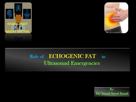 Emergency US course -Lecture 02 -Urgent sonographic signs -Part 1 -Echogenic Fat