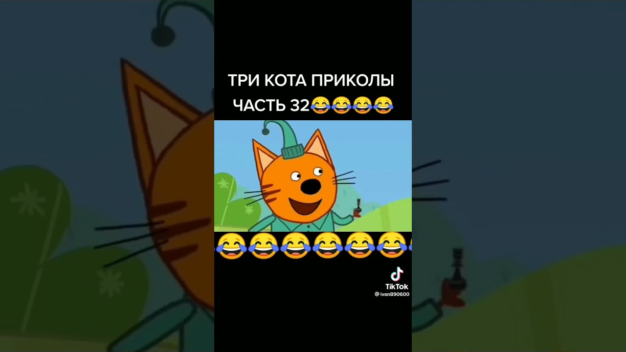 Приколы три кота