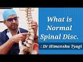 What is normal disc in spine intervertebral disc