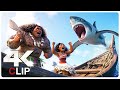 MOANA 2 All Movie Clips (NEW 2024)