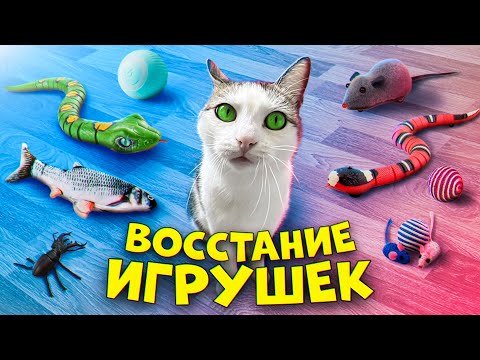 Видео: Пробуем необычные игрушки для домашних животных / SANI vlog