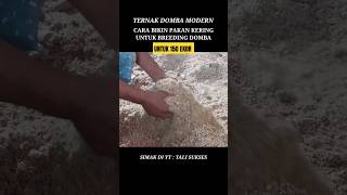 PAKAN KERING UNTUK DOMBA KAPASITAS 150 EKOR #domba #yearofyou #shorts