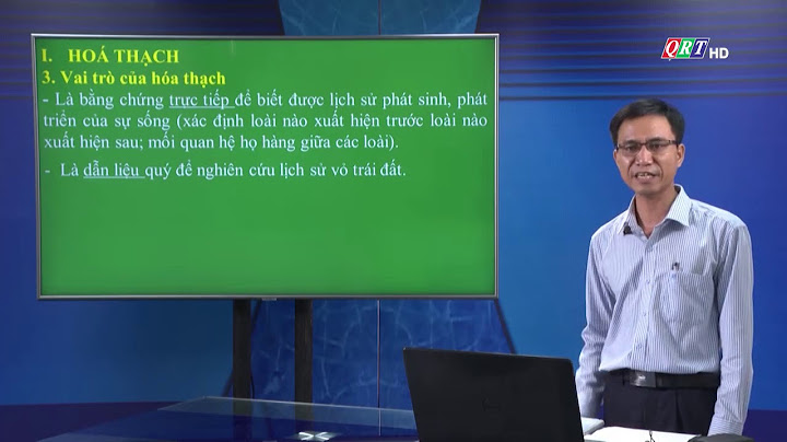 Các nhóm linh trưởng phát sinh ở kỉ nào năm 2024