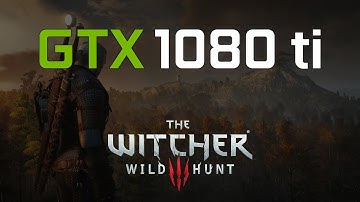 Witcher 3 GTX 1080 Ti | 1440p | FPS test