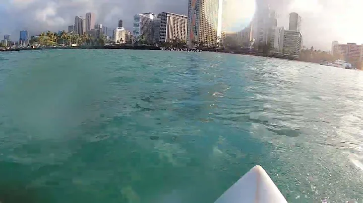 Oahu Surf