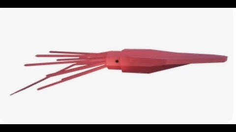 how to catch colossal squid in Roblox Fisch