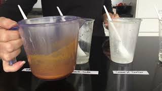 Makerspace STEAM Activity - Acid Base indicators