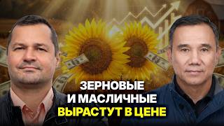 Селекция зерновых и масличных в Казахстане: чем наши гибриды лучше импортных?
