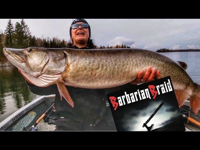 BARBARIAN BRAID full review! BEST new musky fishing line in years