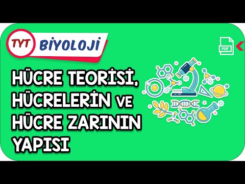 Hücre Teorisi, Hücrelerin ve Hücre Zarının Yapısı | Kamp2021     #YazKampı