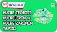 Karbonhidratlar: Temel Yapı ve Sınıflandırma ile ilgili video