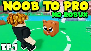 NOOB to PRO with 0 ROBUX in Pet Catchers! (Episode 1)