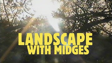 William William Rodgers: Landscape with Midges (music video)
