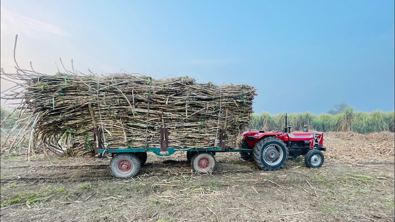 Don’t forget to smile 😊 #viral #trending #farming #comedy #funny #entertainment #explore #reality 