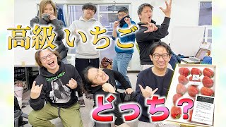 超高級いちごを当てろ！ グルメライター格付けチェックSEASON2＜第3回＞