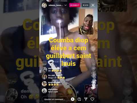 lomotif bou bess coumba diop réaction de adamo 😱