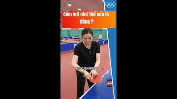 Kỹ thuật bóng bàn: Cách cầm vợt như thế nào là đúng?| Hợp  Bóng Bàn