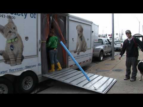 HSMO Joplin Tornado Relief - Exclusive Video