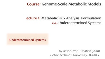 Lecture 2.2 - Underdetermined Systems | Genome Scale Metabolic Models
