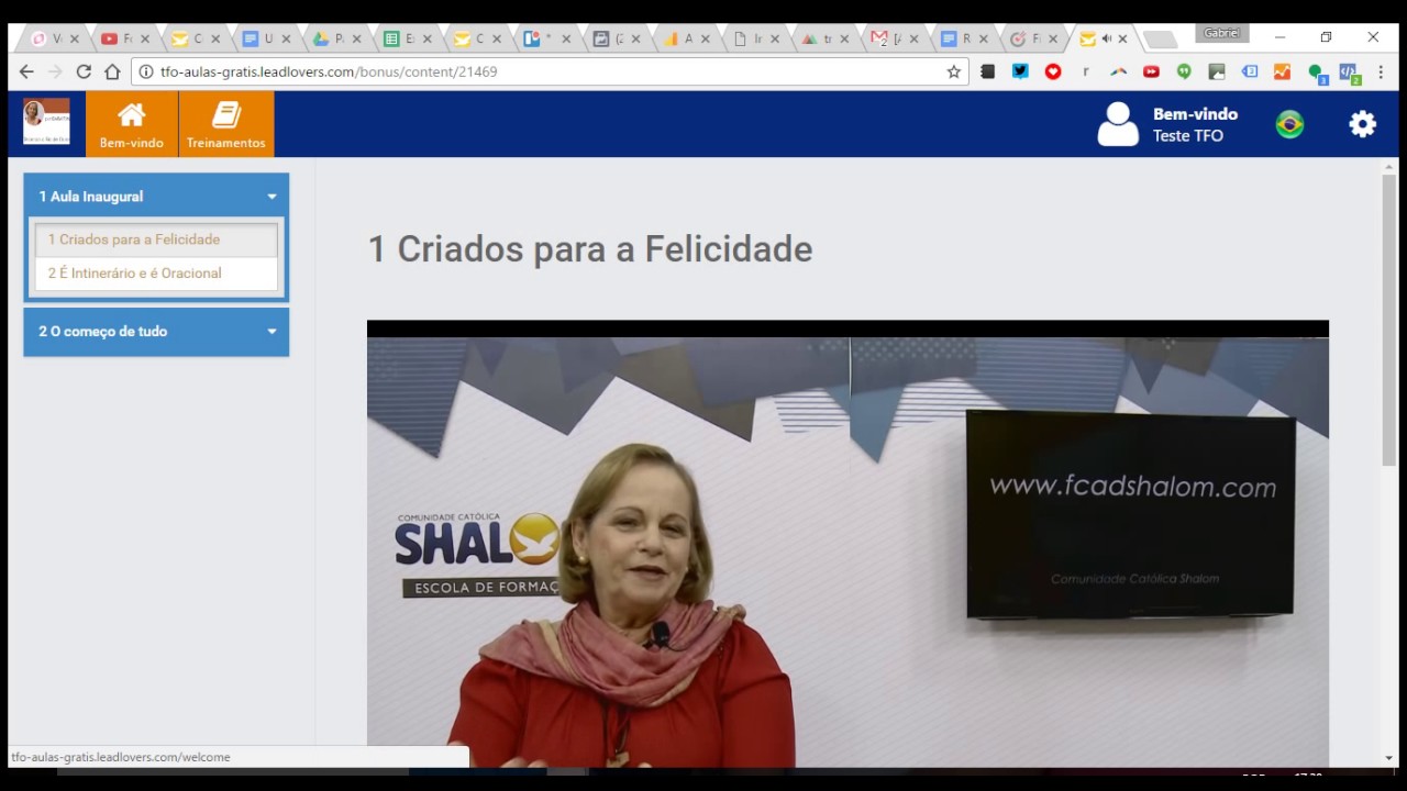 Como colocar a sua cara na sua área de Membros do LeadLovers - YouTube
