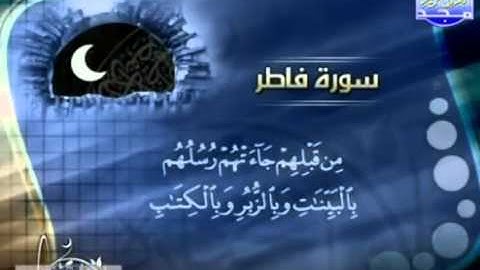 الشيخ أحمد أسامة الترجمان سورة فاطر
