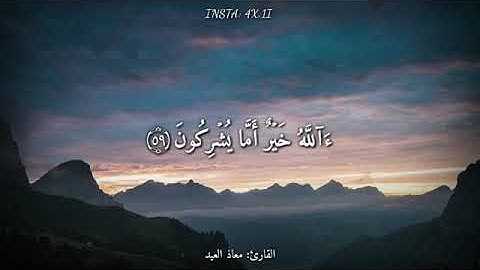 قرآن كريم بصوت القارئ: معاذ العيد || أجمل حالات واتس اب دينيه 🖤 || تلاوة خاشعة 🌘😴