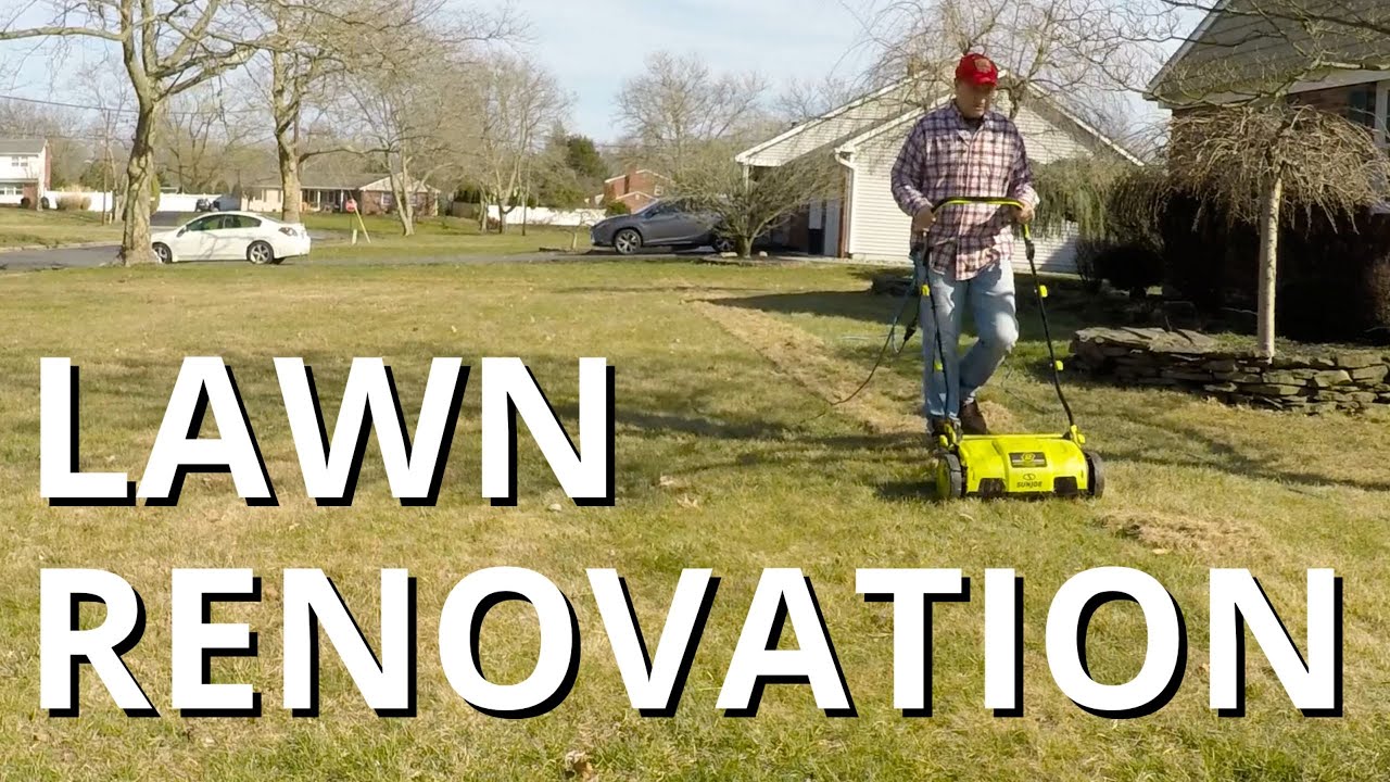 Lawn Renovation Steps with Black Beauty Grass Seed YouTube