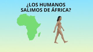 ¿Los seres humanos salimos de África?