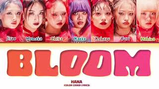 Hana Bloom  Color Coded S by Yeontani Japromeng