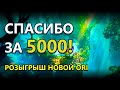 СПАСИБО ЗА 5000 + РОЗЫГРЫШ ORI AND THE WILL OF THE WISPS