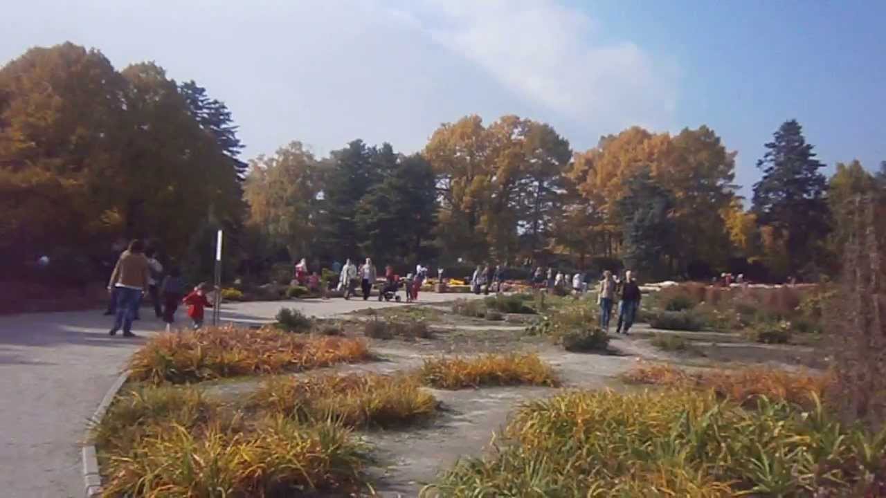 Киев сад питомник