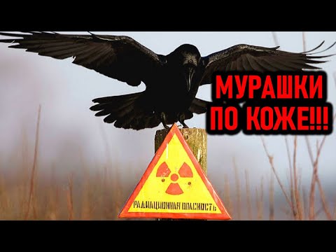 СРОЧНО К ПРОСМОТРУ! ВСПЛЫЛА СТРАШНАЯ ПРАВДА! 19.09.2020 ДОКУМЕНТАЛЬНЫЙ ФИЛЬМ HD