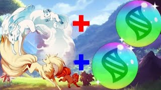 What If Ninetale & Alola Ninetale Had A Mega😍Evolution|20k Special Vedio| RisingPoketuber24|#pokemon