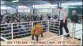 Suffolk Sheep Society Sale Shrewesbury 2011