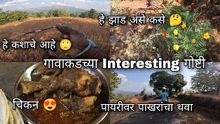 हा कोणता वन्यप्राणी, पायरीकडे फेरफटका - आईने केला चिकन | Kokan village vlog | Kokankar Avinash