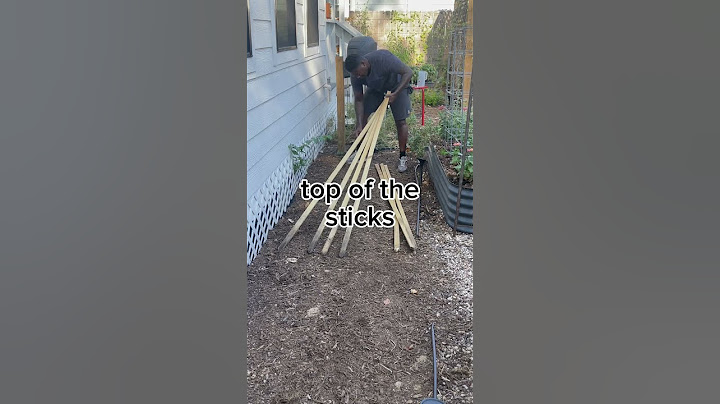 Easy DIY gardening trellis