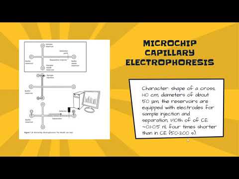 Video: Perbedaan Antara Elektroforesis Kapiler Dan Elektroforesis Gel