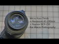 Macro photography using Panasonic Lumix G 45-200mm and Raynox DCR-250