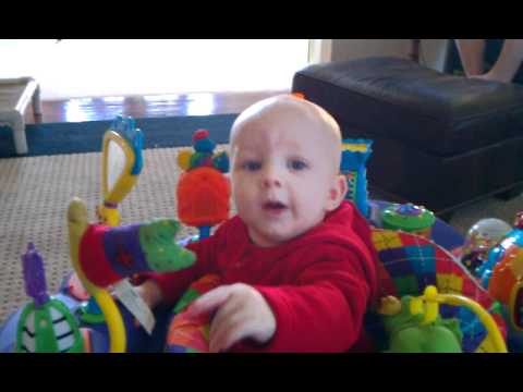Tommy LIKEY, Tommy want WINGY... 12/29/2011 - YouTube