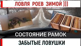 Ловля Роев Зимой))). Забытые Ловушки. Состояние Рамок.