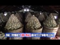 岡崎市（公式）/八丁味噌蔵と伝統の技（チャンネルおかざき「街ぶらり～岡崎発見隊」　平成27年９月11日～20日放送）